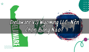Delaware VS Wyoming LLC: Nên Chọn Bang Nào?