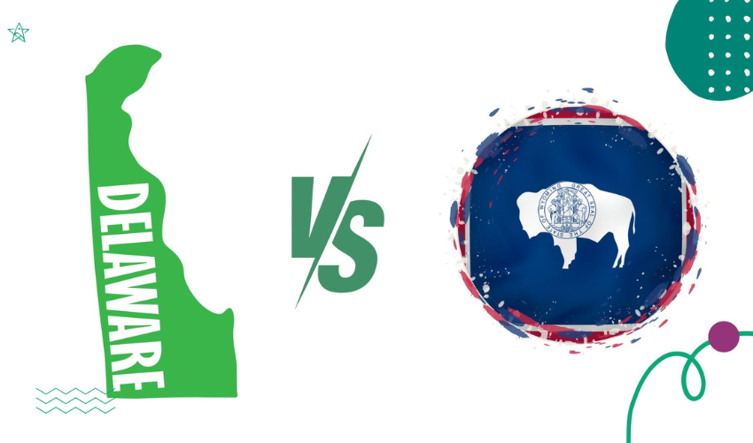 Delaware vs Wyoming LLC
