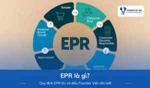 EPR Là Gì? Hướng Dẫn Dễ Hiểu Cho Seller Việt Nam Vận Hành Công Ty Mỹ Bán Hàng Vào EU
