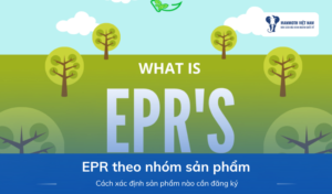 EPR Theo Nhóm Sản Phẩm: Cách Phân Loại Nghĩa Vụ Trước Khi Bán Hàng Vào EU 