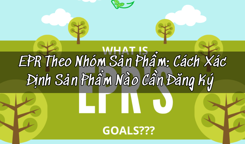 EPR Theo Nhóm Sản Phẩm: Cách Phân Loại Nghĩa Vụ Trước Khi Bán Hàng Vào EU 