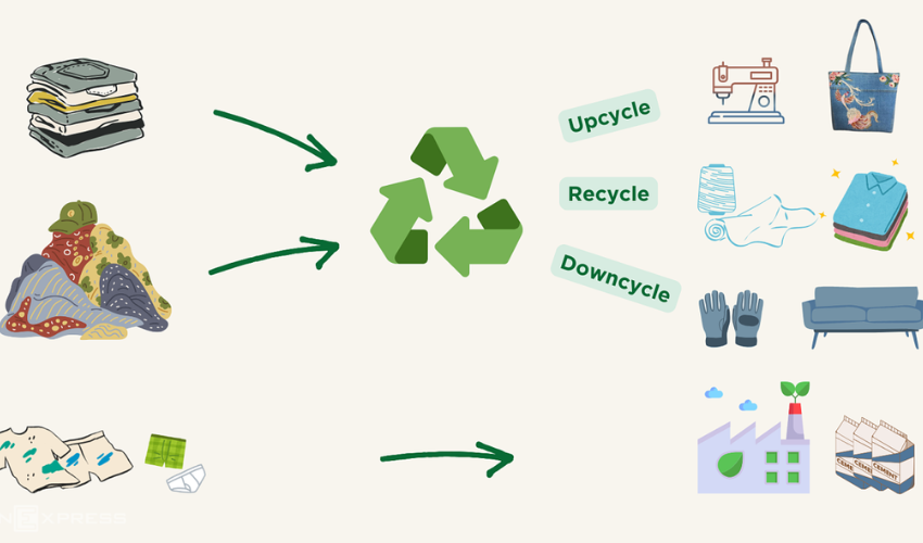 Các nhóm sản phẩm thuộc EPR