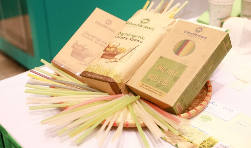 Giai đoạn đưa sản phẩm ra thị trường