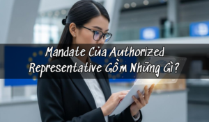 Mandate Của Authorized Representative Gồm Những Gì?