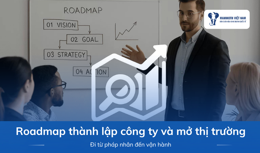 Roadmap Thành Lập Công Ty Và Mở Thị Trường