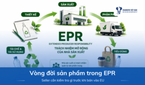 Vòng Đời Sản Phẩm Trong EPR: Seller Cần Kiểm Tra Gì Trước Khi Bán Vào EU? 