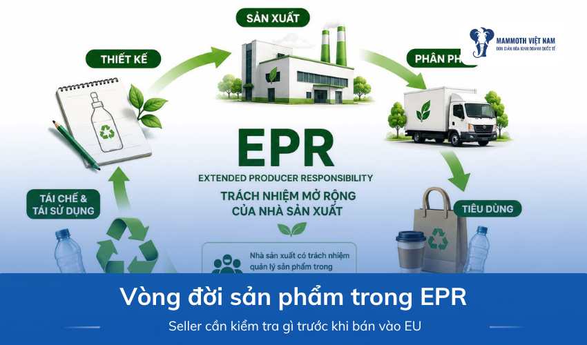 Vòng Đời Sản Phẩm Trong EPR: Seller Cần Kiểm Tra Gì Trước Khi Bán Vào EU?