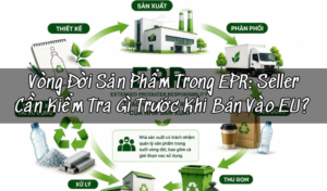 Vòng Đời Sản Phẩm Trong EPR: Seller Cần Kiểm Soát Gì Từ Thiết Kế Đến Tái Chế? 